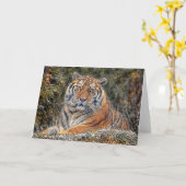 Carte royale des neiges de Tiger (Fleur jaune)