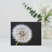 Carte RSVP de mariage Dandelion (Debout devant)