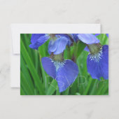carte rsvp florale iris bleu, invitations de maria (Dos)