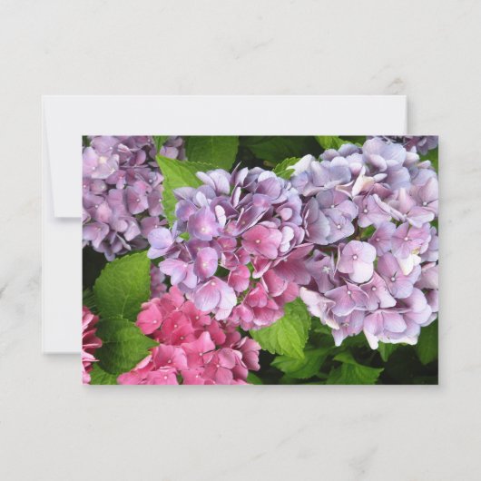 Carte RSVP Hydrangea (Dos)