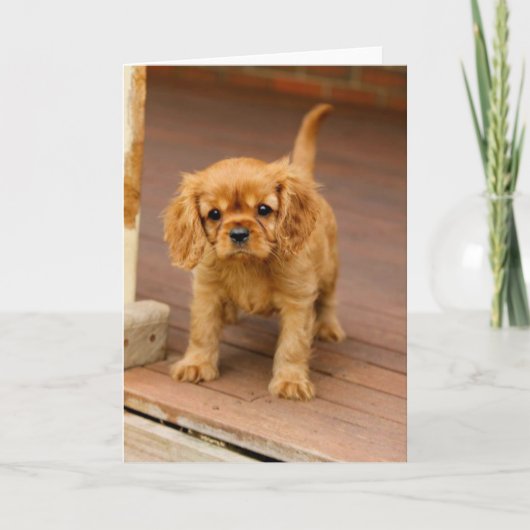 Carte Rubis sur porch.jpg (Devant)