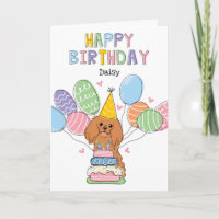 Ruby Cavalier King Charles Spaniel Anniversaire