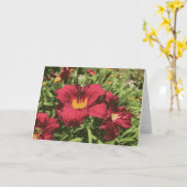 Carte Ruby Spider Daylily Fleurs Humides Lily Rouge Jaun (Fleur jaune)
