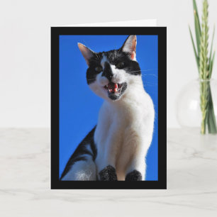 Carte Rugissement du chat domestique