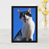 Carte Rugissement du chat domestique (Fleur jaune)