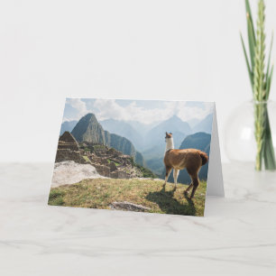 Carte Ruines de négligence de lama   Machu Picchu, Pérou