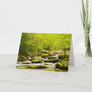 Carte Ruisseau Rugissant au printemps