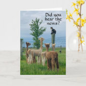 Carte RUMOR EST QUE **65e ANNIVERSAIRE** PAS SI MAUVAIS (Fleur jaune)