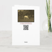 Carte Rune Uruz - Sagesse (Dos)