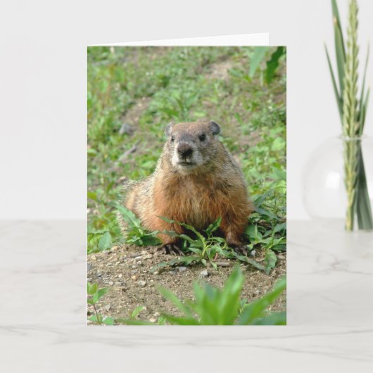 Carte Rupture (Devant)