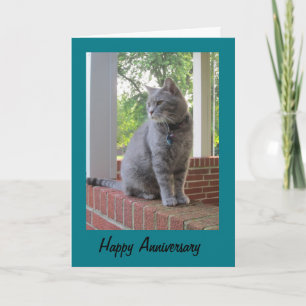 Carte Russ The Cat Happy Anniversary Greeting Card