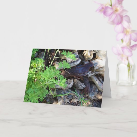 Carte Rustic Citronella Leaf Portrait Card (Orchidée)