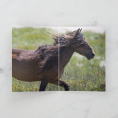 Carte Sable Stallion's Pride - Wild Horse Greeting Cards (Intérieur)