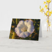 Carte Sacré Fleur sauvage du désert des fleurs de Datura (Fleur jaune)