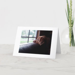 CARTE SAD DOG DIT "VOUS MANQUE À L'ANNIVERSAIRE"