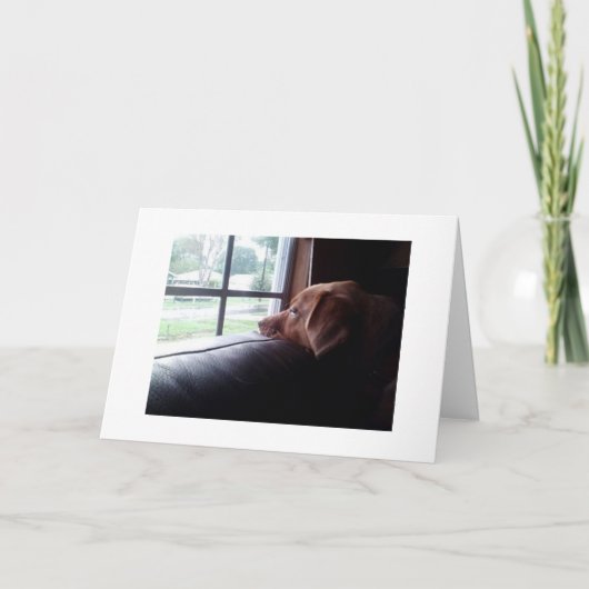 CARTE SAD DOG DIT "VOUS MANQUE À L'ANNIVERSAIRE" (Devant)