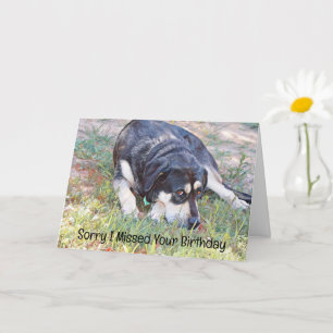 Carte Sad Dog Missed Birthday Belated Birthday Card