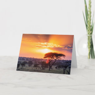 Carte Safari dans le parc national du Serengeti