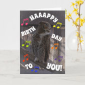 Carte Sagesse d'anniversaire (Fleur jaune)