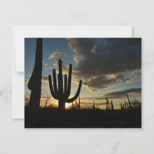 Carte Saguaro Sunset II Arizona
