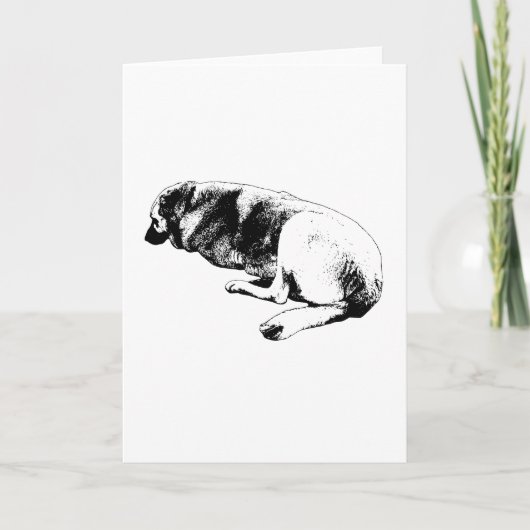 Carte Said Without Words (Devant)