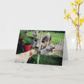 Carte Sailor & pals (Fleur jaune)