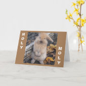 CARTE **SAINEMENT MOLIEN VOUS NE POUVEZ PAS ÊTRE "13" DÉ (Fleur jaune)