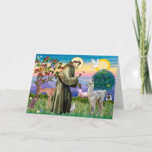 Carte Saint François et bébé lama