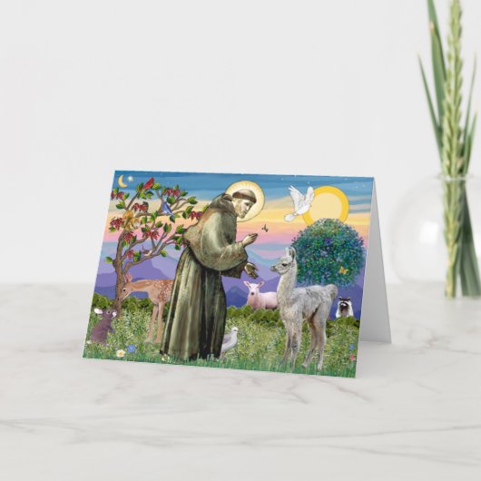 Carte Saint François et bébé lama (Devant)