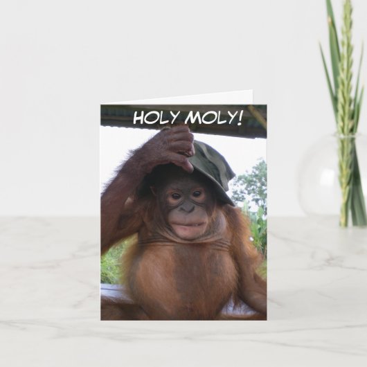 Carte Saint Moly Obtenir vieux mignon animal d'anniversa (Devant)