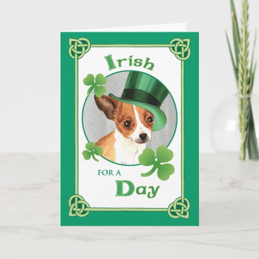 Carte Saint Patrick's Day Chihuahua (Devant)