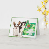 Carte Saint Patrick's Day Chihuahua's (Fleur jaune)