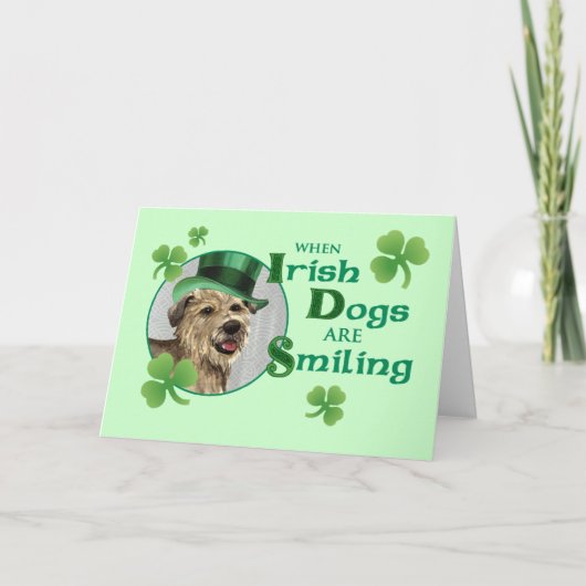Carte Saint Patrick's Day Glen of Imaal Terrier (Devant)