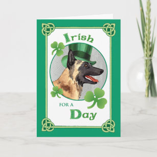 Cartes De Vœux Chien Malinois Zazzle Be