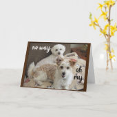 CARTE SAINT VACHE DIT LES POUPES "VOUS AVEZ 70 ANS" (Fleur jaune)