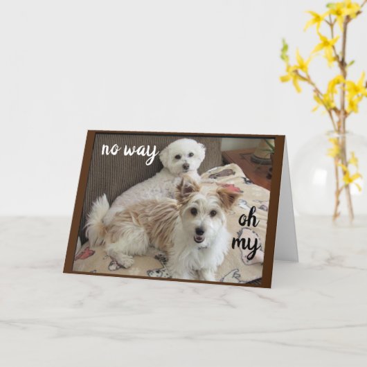 CARTE SAINT VACHE DIT LES POUPES "VOUS AVEZ 70 ANS" (Fleur jaune)