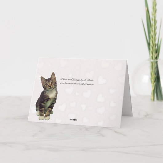 Carte Saint-Valentin Bandit - Chat / Kitten (Dos)