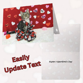 Carte Saint-Valentin Bandit - Chat / Kitten