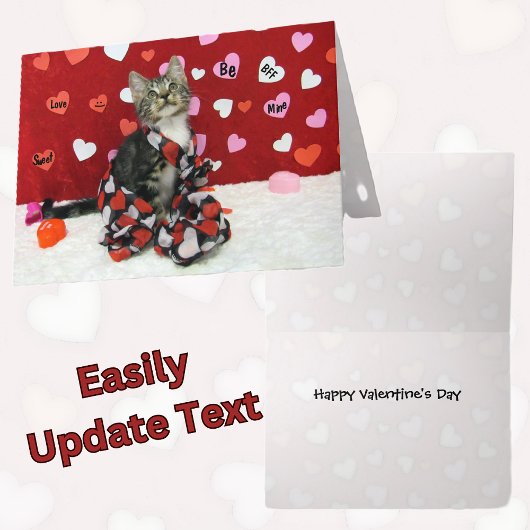 Carte Saint-Valentin Bandit - Chat / Kitten