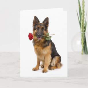 Carte Saint-Valentin Berger Allemand – Amour dévoué