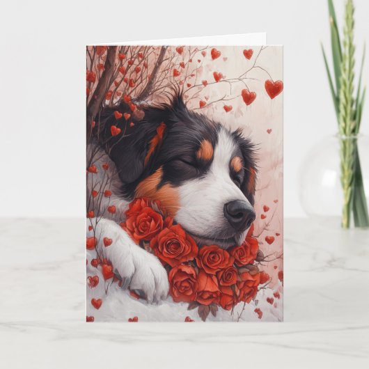 Carte Saint Valentin Berger d'Anatolie Serein (Devant)