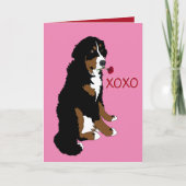 Carte Saint Valentin Bernese Mountain Dog (Devant)