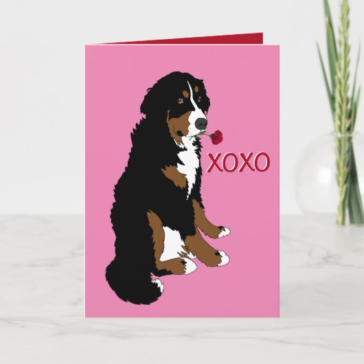 Carte Saint Valentin Bernese Mountain Dog (Devant)