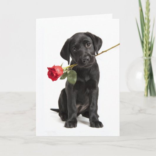 Carte Saint-Valentin Black Lab (Devant)