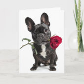 Carte Saint-Valentin Bouledogue Français – Grand Amour, (Devant)