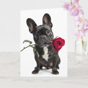 Carte Saint Valentin Bouledogue Français – Grand Amour,