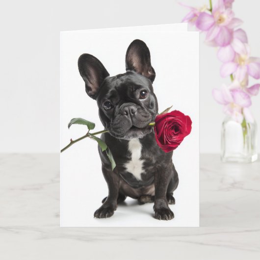 Carte Saint-Valentin Bouledogue Français – Grand Amour, (Orchidée)