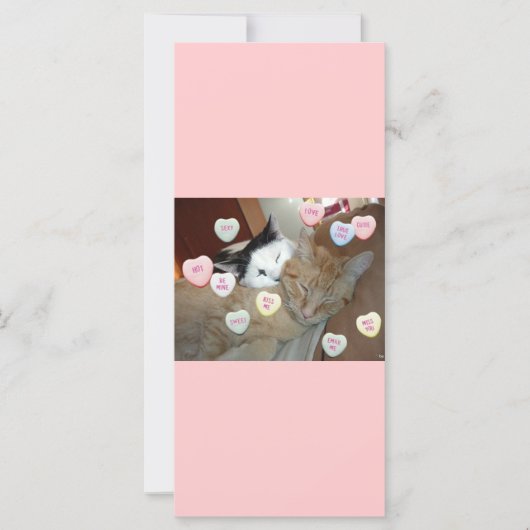 Carte Saint Valentin Chatons (Devant)