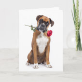 Carte Saint-Valentin Chien Boxer (Devant)