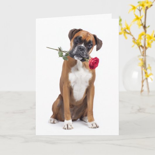 Carte Saint-Valentin Chien Boxer (Fleur jaune)